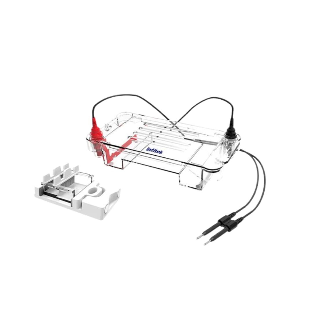 Horizontal Electrophoresis Cell, GEP-HH-SUB01