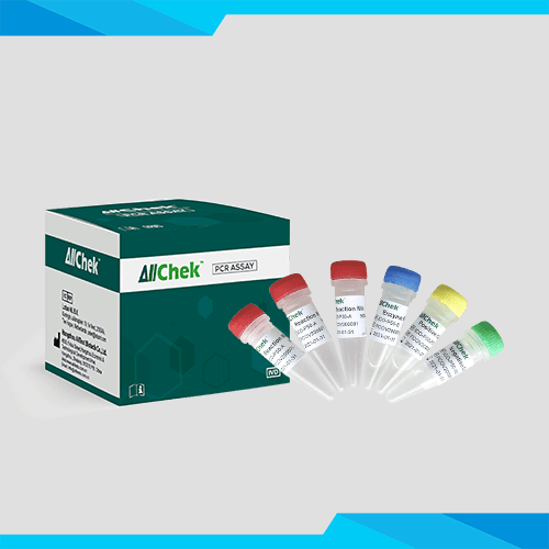 SARS-COV-2 RT qPCR Assay