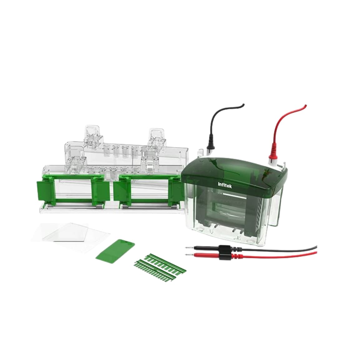 Mini Vertical Electrophoresis Tank, GEP-VH-4